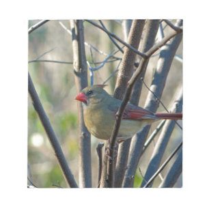 Bloc-note Cardinal féminin