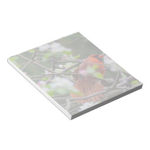 Bloc-note Cardinal masculin au printemps