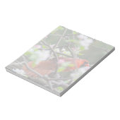 Bloc-note Cardinal masculin au printemps (Tourné)