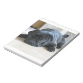 Bloc-note carlin noir plat (Tourné)