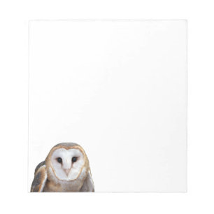 Bloc-note Cartes photo Barn Owl Cartes Papier à lettres
