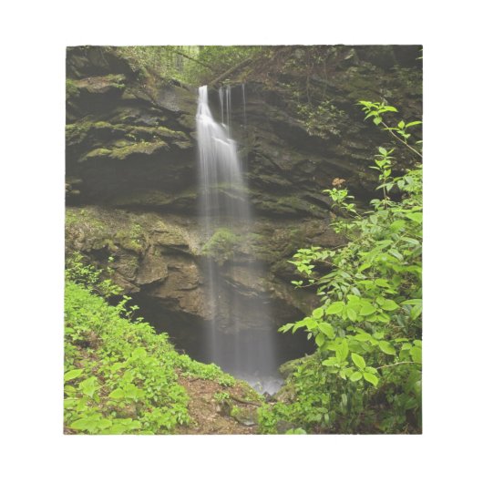 Bloc-note Cascade tombant dans l'évier, Whiteoak Sink, (Devant)