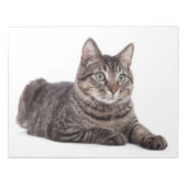 Bloc-note Cat (Devant)