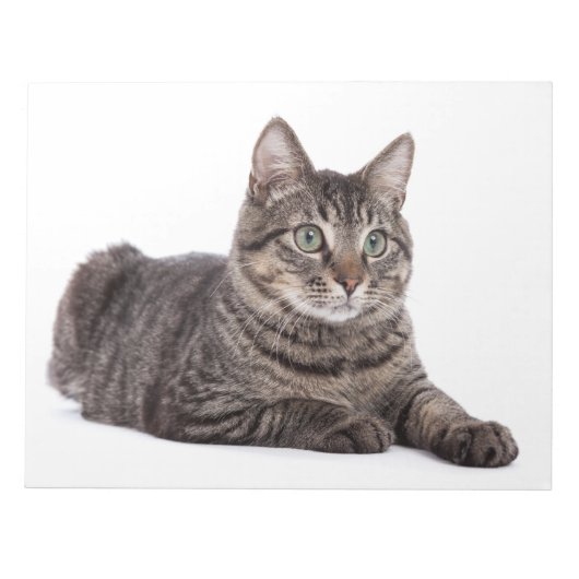 Bloc-note Cat (Devant)