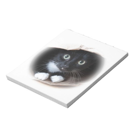 Bloc-note Cat (Tourné)