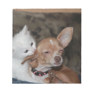 Bloc-note Cat licking Dog