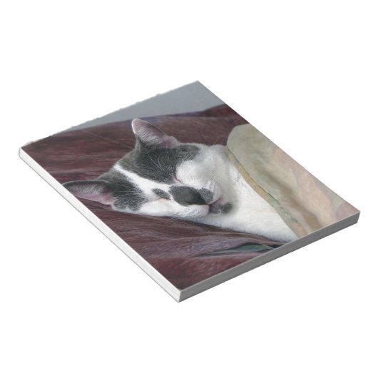 Bloc-note Cat Napping (Incliné)
