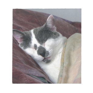 Bloc-note Cat Napping