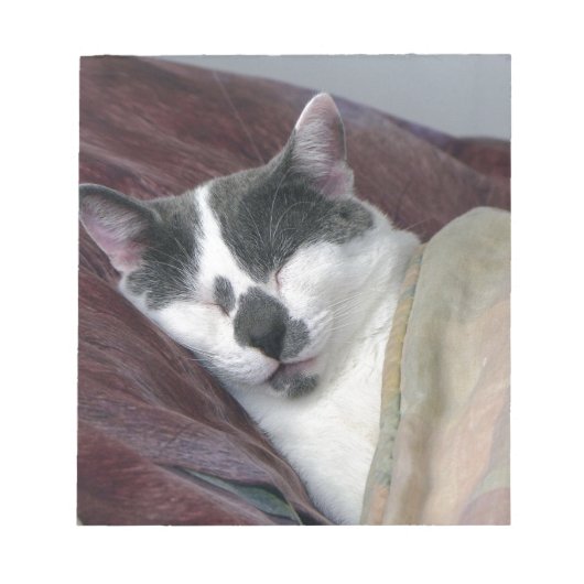 Bloc-note Cat Napping (Devant)
