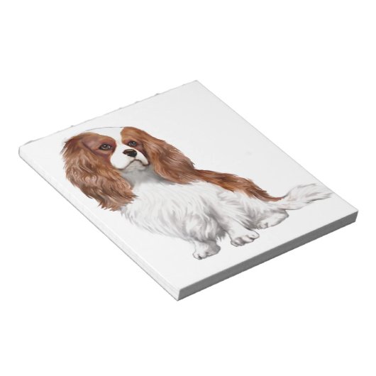 Bloc-note Cavalier King Charles Spaniel (Blenheim A) (Incliné)