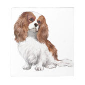 Bloc-note Cavalier King Charles Spaniel (Blenheim A) (Devant)