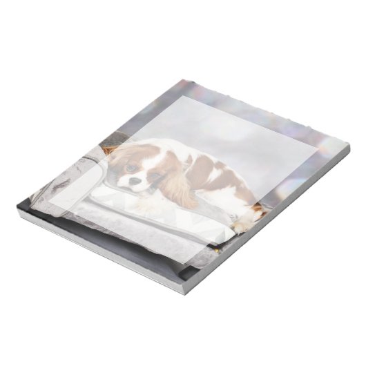 Bloc-note Cavalier King Charles Spaniel - Remington (Tourné)