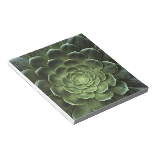 Bloc-note Centre de Cactus (Incliné)