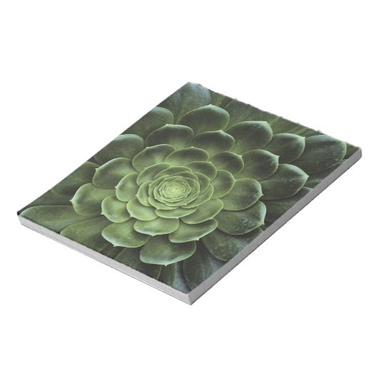 Bloc-note Centre de Cactus (Tourné)