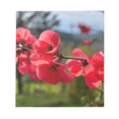 Bloc-note Chaenomeles speciosa (Devant)