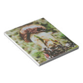 Bloc-note Champignons Porcini en Forêt Suédoise (Incliné)