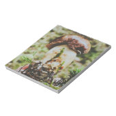 Bloc-note Champignons Porcini en Forêt Suédoise (Tourné)