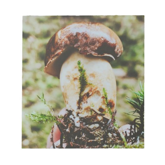 Bloc-note Champignons Porcini en Forêt Suédoise (Devant)