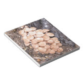 Bloc-note champignons sans anneau (Incliné)