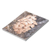 Bloc-note champignons sans anneau (Tourné)