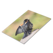 Bloc-note Chant de Blackbird à ailes rouges (Incliné)