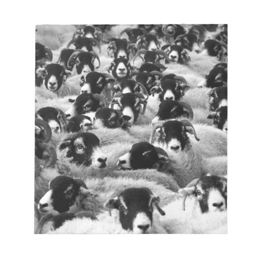 Bloc-note CHARGES de béliers Moutons Noir et Blanc (Devant)