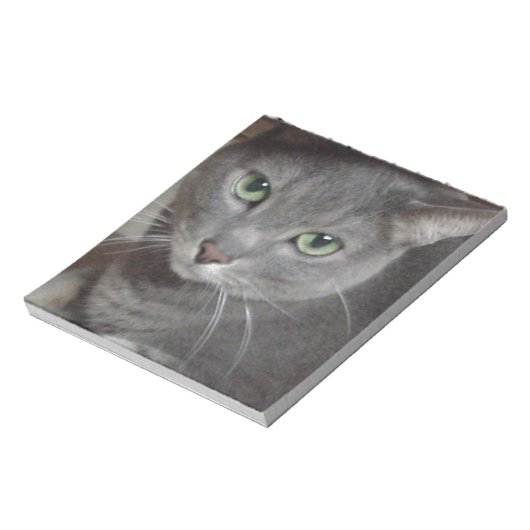 Bloc-note Chat bleu russe (Tourné)