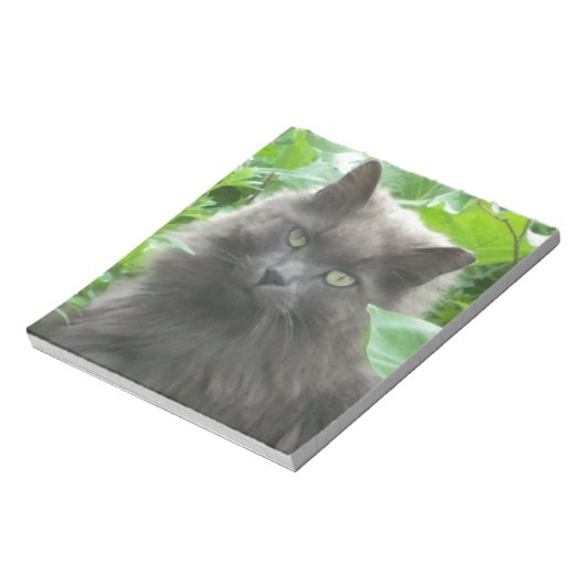 Bloc-note Chat bleu russe gris-long (Tourné)