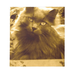 Bloc-note Chat bleu russe vintage à long haïl