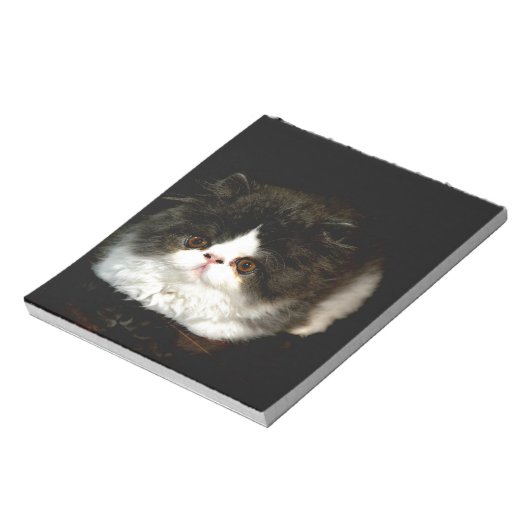 Bloc-note Chat chaton blanc noir mignon (Tourné)