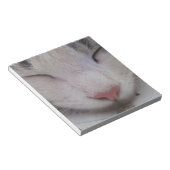 Bloc-note Chat couché (Incliné)