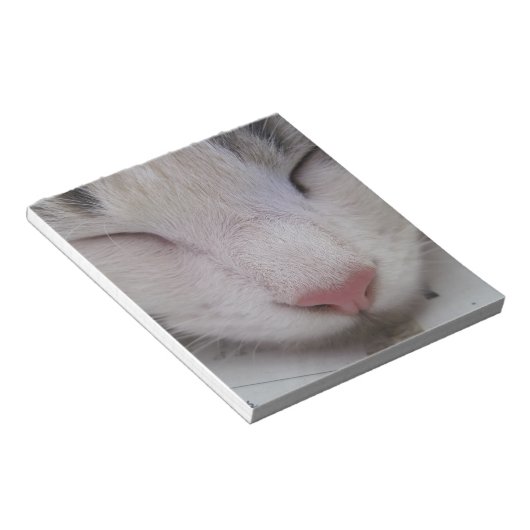 Bloc-note Chat couché (Incliné)