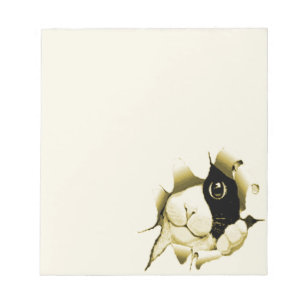 Bloc-note Chat curieux