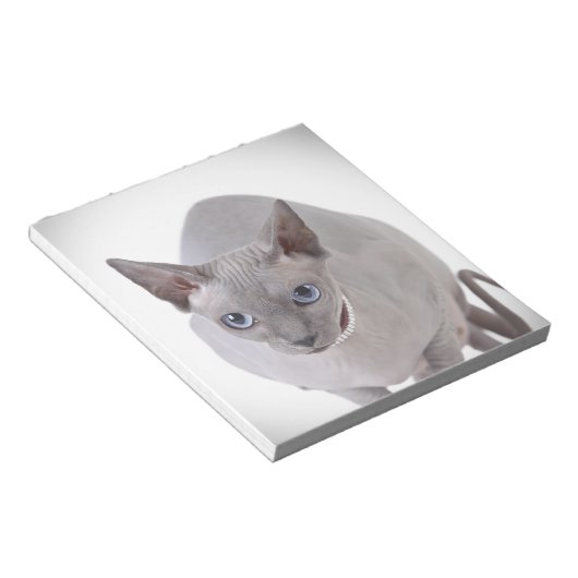 Bloc-note Chat de Sphynx (Incliné)