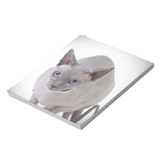 Bloc-note Chat de Sphynx (Tourné)