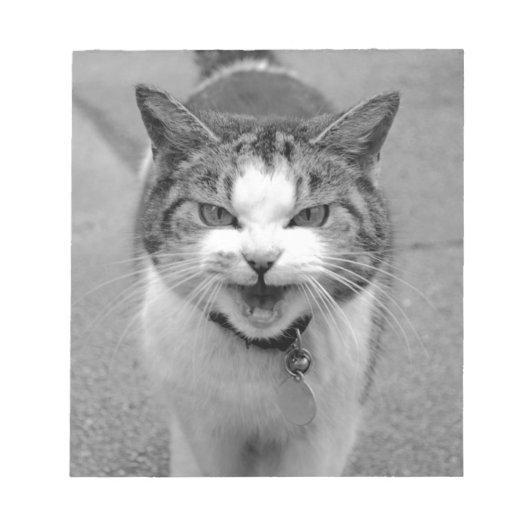 Bloc-note Chat en colère (Devant)