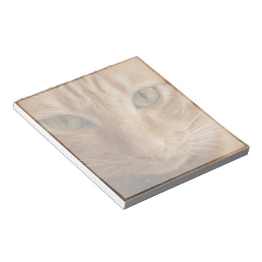 Bloc-note chat ginger (Incliné)