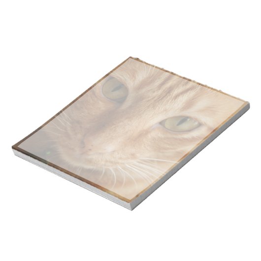 Bloc-note chat ginger (Tourné)