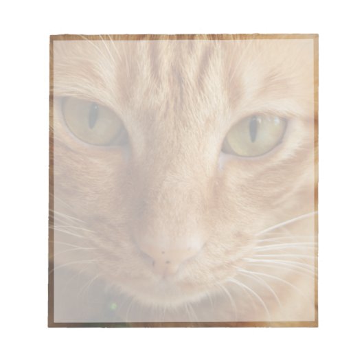 Bloc-note chat ginger (Devant)