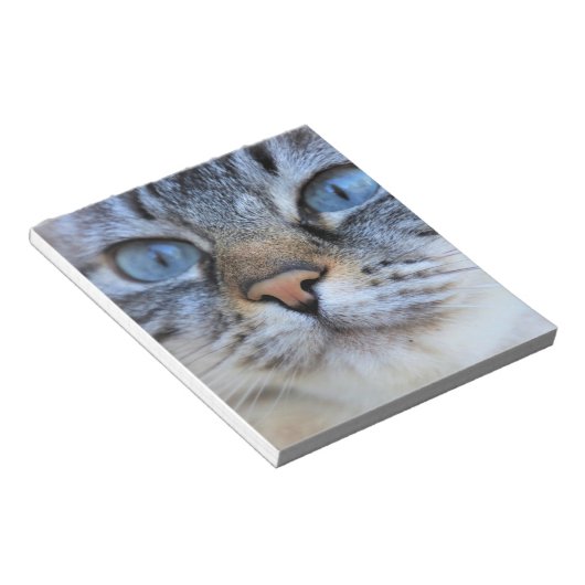 Bloc-note Chat gris (Incliné)