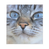 Bloc-note Chat gris (Devant)