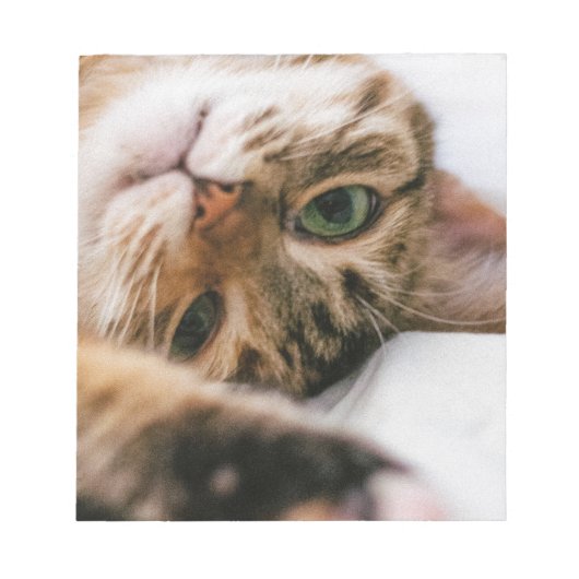 Bloc-note chat ludique (Devant)