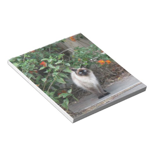 Bloc-note Chat mixte de l'Himalaya (Incliné)