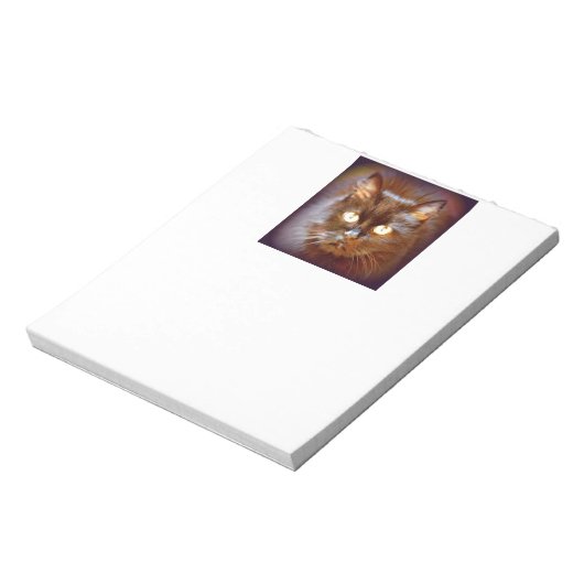 Bloc-note chat noir (Tourné)