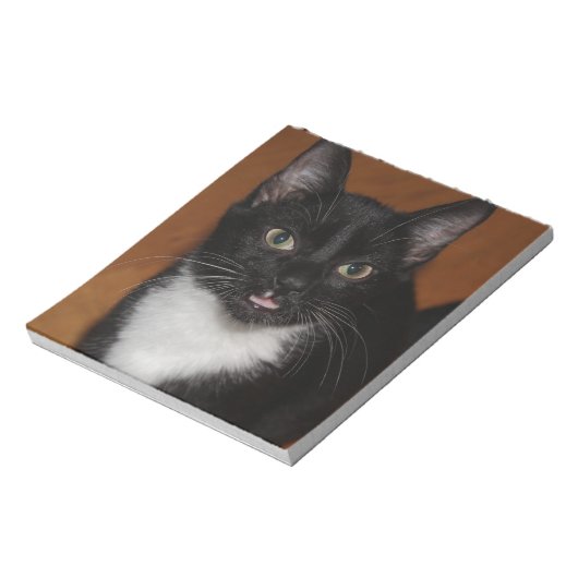 BLOC-NOTE CHAT NOIR ET BLANC (Tourné)
