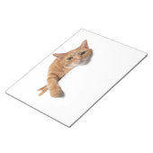 Bloc-note Chat orange couché (Incliné)