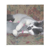 Bloc-note Chaton couchant (Devant)
