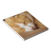 Bloc-note Chaton couchant (Incliné)