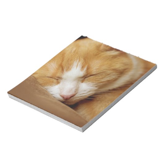 Bloc-note Chaton couchant (Tourné)