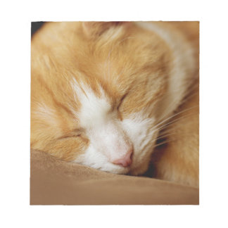 Bloc-note Chaton couchant